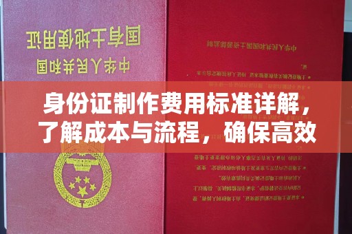 暖暖身份证制作费用标准详解，了解成本与流程，确保高效办理